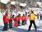 Beginner Ski Lesson Tour