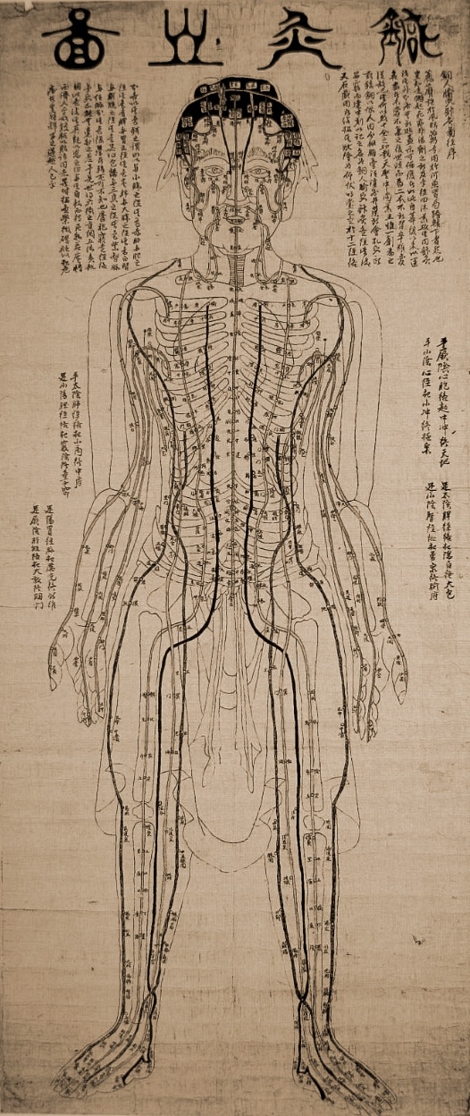 Diagram of acupuncture points on human body